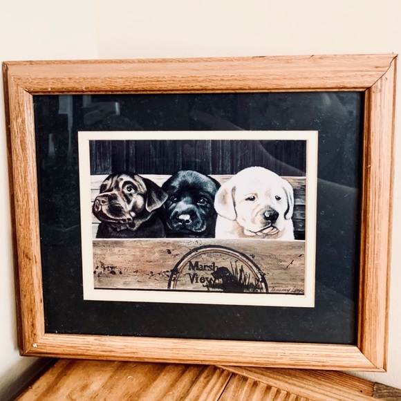 Vintage Other - RARE Tammy Laye Labrador Puppy Art
